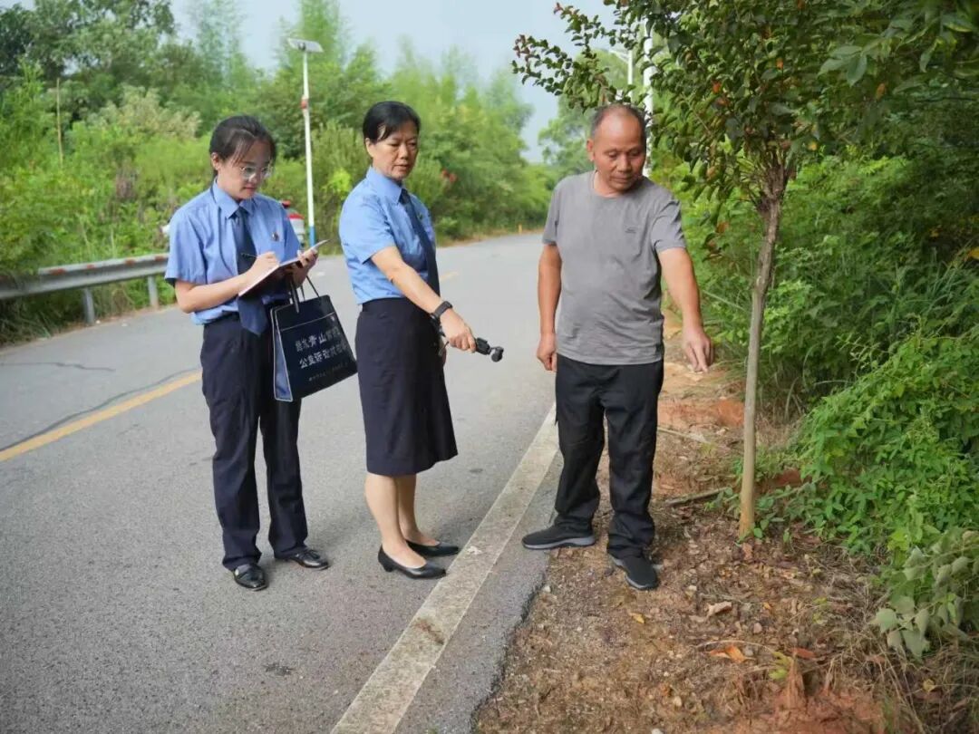 检察官来了，蚁患灭了，民心暖了