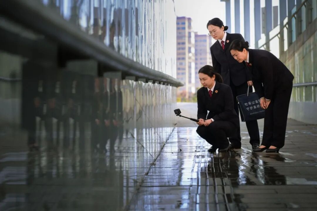 【检护民生】媒体连线：让法治温度直抵人心——石鼓检察以高质效履职书写民生答卷